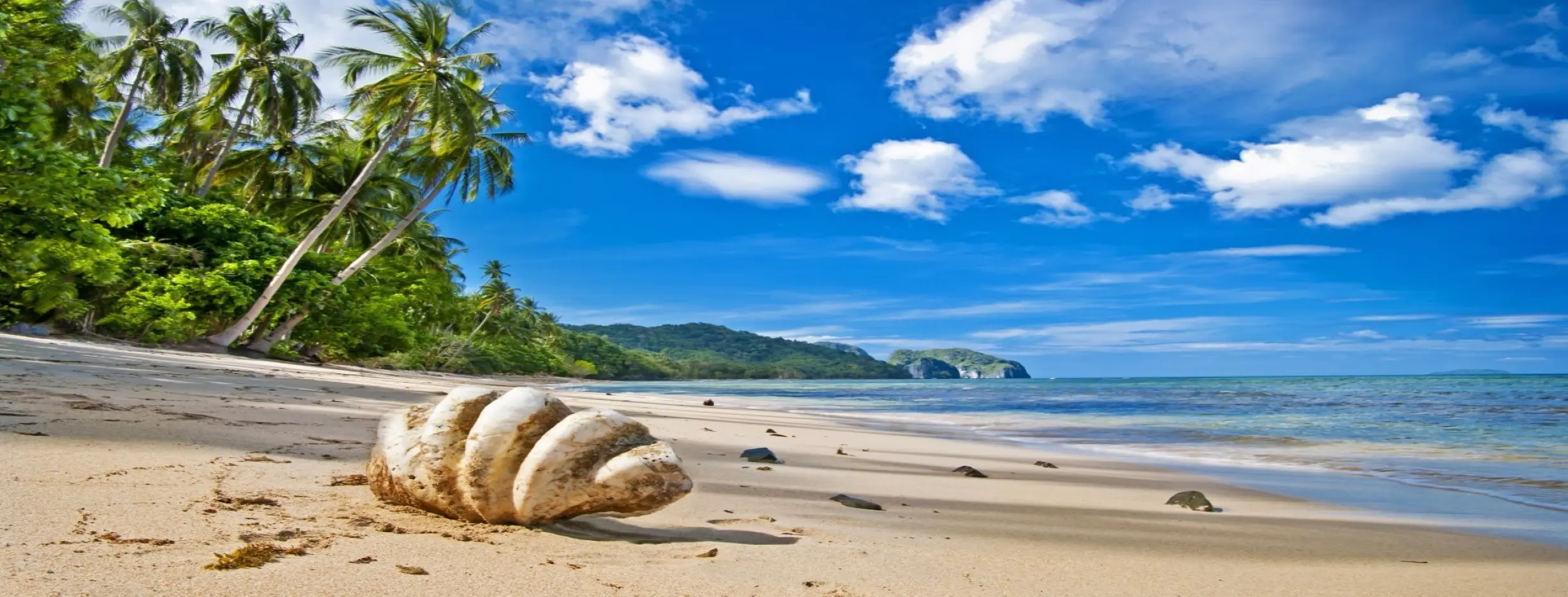 Image for Beach Bumming